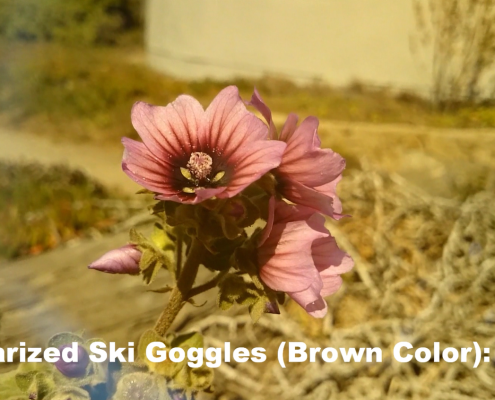 Polarized Ski Goggle: Blown Color - Flower Video
