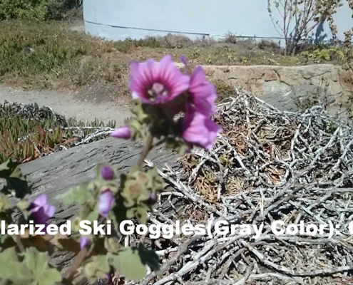Polarized Ski Goggle: Gray Color - Flower Video